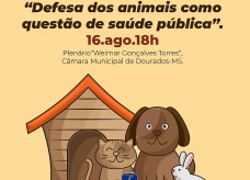 Ilustração  Audiência será realizada nesta terça-feira, dia 16, na Câmara Municipal