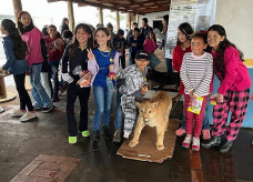 Alunos visitaram exposição de animais taxidermizados (Foto: Embrapa)