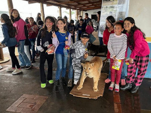 Alunos visitaram exposição de animais taxidermizados (Foto: Embrapa)