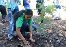 (Foto: Rodrigo Pirola/Prefeitura de Dourados)