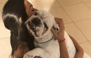 Gracyanne declara amor pelo seu cachorro