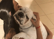 Gracyanne declara amor pelo seu cachorro