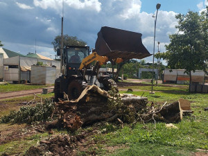 Trabalho em equipe de Secretarias Municipal removeu espécies com risco de queda no interior da Feira Central de Dourados