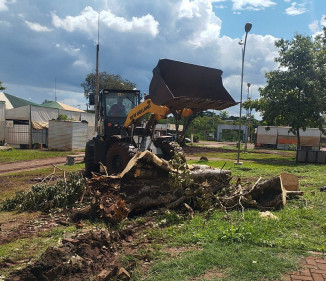 Trabalho em equipe de Secretarias Municipal removeu espécies com risco de queda no interior da Feira Central de Dourados