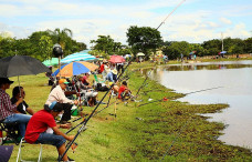 Pesca está liberada nesta quinta-feira das 7h às 17h no lago do parque Antenor Martins – Foto: A. Frota