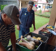 Produção da agricultura familiar, adquirida através do Programa de Aquisição de Alimentos, beneficia dezenas de entidades em Dourados. Foto: Divulgação/Assecom