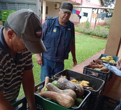 Produção da agricultura familiar, adquirida através do Programa de Aquisição de Alimentos, beneficia dezenas de entidades em Dourados. Foto: Divulgação/Assecom