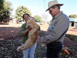 Prefeitura de Dourados faz ação ‘extramuro’ no intuito de alcançar o maior número possível de animais vacinados contra a raiva – Foto: A. Frota  A Prefeitura de Dourados, por mei