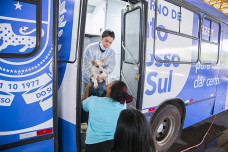 Com apoio e estrutura da Prefeitura de Dourados, Caravana da Castração fará 1.500 cirurgias entre os dias 3 e 12 de novembro. Divulgação/Assecom
