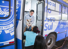 Com apoio e estrutura da Prefeitura de Dourados, Caravana da Castração fará 1.500 cirurgias entre os dias 3 e 12 de novembro. Divulgação/Assecom