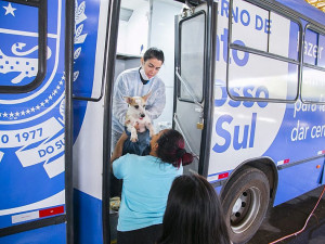 Com apoio e estrutura da Prefeitura de Dourados, Caravana da Castração fará 1.500 cirurgias entre os dias 3 e 12 de novembro. Divulgação/Assecom