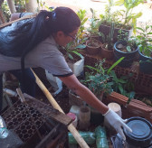 Agentes de combate de endemias fiscalizam casas, quintais e parques no combate aos focos do mosquito. Foto: A. Frota