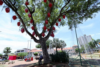 Praça Antonio João já está recebendo a decoração para as celebrações do ‘Natal Encantado Dourados’. Fotos: A. Frota