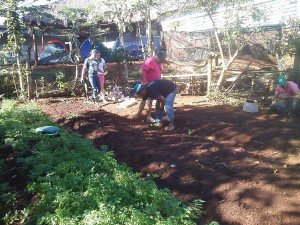 Horta cultivada por alunos no contexto dos projetos de resgate da cultura na Reserva Indígena​