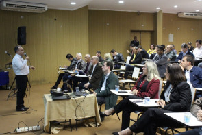 Délia reúne prefeitos da região e reforça  importância do companheirismo na crise