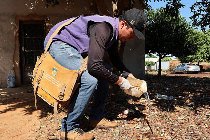 Mutirão contra chikungunya chega ao Parque do Lago II com limpeza e orientação à população