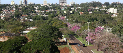 Dourados fica entre as 50 cidades mais arborizadas do Brasil em avaliação internacional