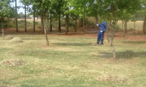 Semsur segue trabalho nos distritos, parques e centro de Dourados