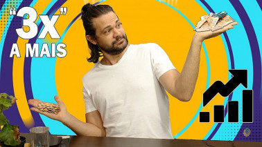 Como tripliquei meus ganhos ainda na adolescência. Milionários nunca investem em um único setor